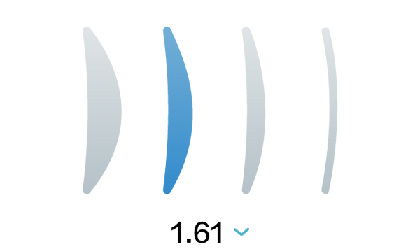 1.61 Index