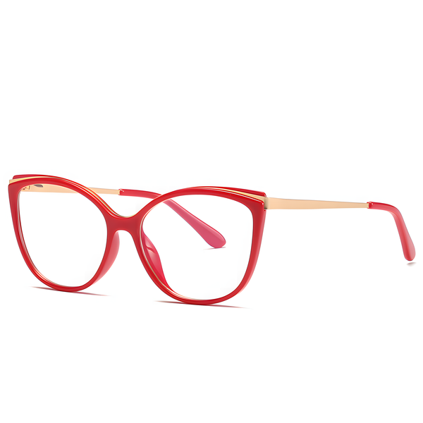 TR90 Optical Glasses Frames